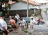 brazi064.jpg