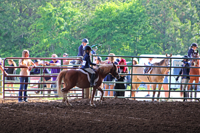 Picture from Catoosa County Saddle Club show