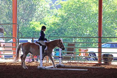 Picture from Catoosa County Saddle Club show