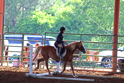 Picture from Catoosa County Saddle Club show