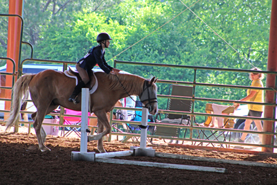 Picture from Catoosa County Saddle Club show