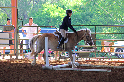 Picture from Catoosa County Saddle Club show