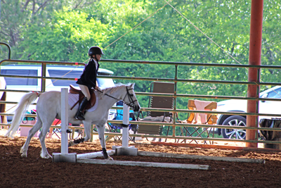 Picture from Catoosa County Saddle Club show