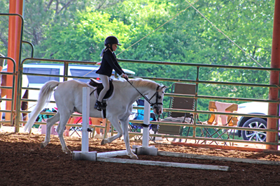Picture from Catoosa County Saddle Club show