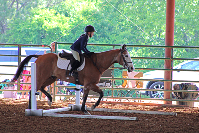 Picture from Catoosa County Saddle Club show