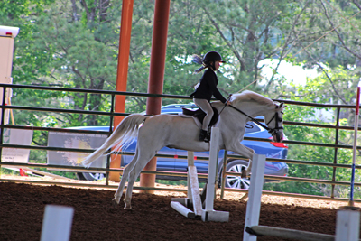 Picture from Catoosa County Saddle Club show