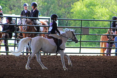 Picture from Catoosa County Saddle Club show