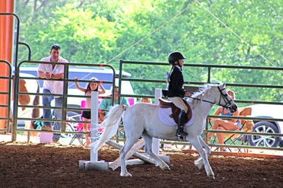 Picture from Catoosa County Saddle Club show