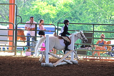 Picture from Catoosa County Saddle Club show