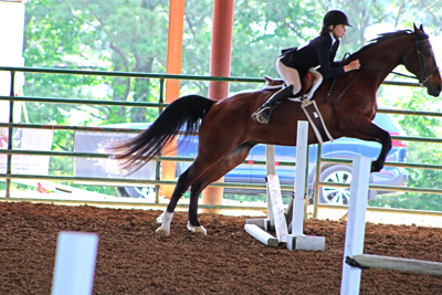 Picture from Catoosa County Saddle Club show