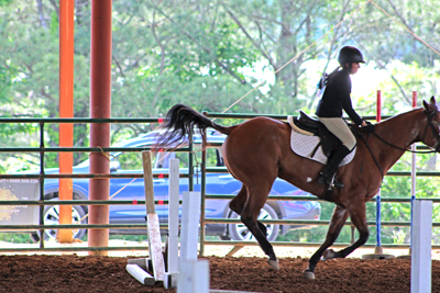 Picture from Catoosa County Saddle Club show