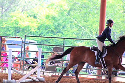 Picture from Catoosa County Saddle Club show