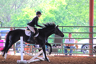 Picture from Catoosa County Saddle Club show