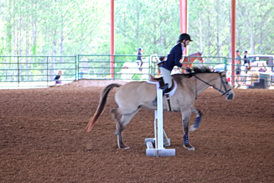 Picture from Catoosa County Saddle Club show