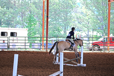 Picture from Catoosa County Saddle Club show