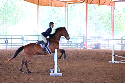 Picture from Catoosa County Saddle Club show