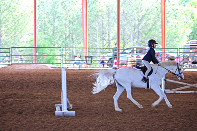 Picture from Catoosa County Saddle Club show