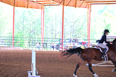 Picture from Catoosa County Saddle Club show