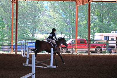 Picture from Catoosa County Saddle Club show