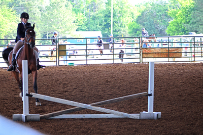 Picture from Catoosa County Saddle Club show