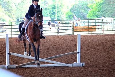 Picture from Catoosa County Saddle Club show