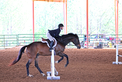 Picture from Catoosa County Saddle Club show