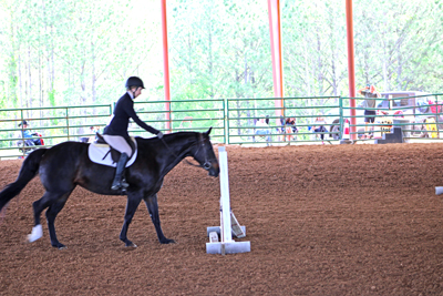 Picture from Catoosa County Saddle Club show