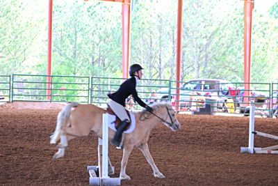 Picture from Catoosa County Saddle Club show