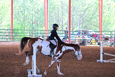 Picture from Catoosa County Saddle Club show