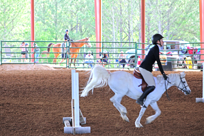 Picture from Catoosa County Saddle Club show