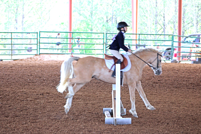 Picture from Catoosa County Saddle Club show