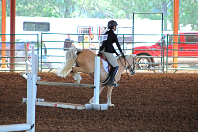 Picture from Catoosa County Saddle Club show