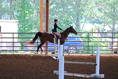 Picture from Catoosa County Saddle Club show