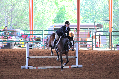 Picture from Catoosa County Saddle Club show