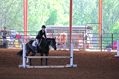 Picture from Catoosa County Saddle Club show