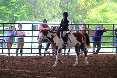 Picture from Catoosa County Saddle Club show
