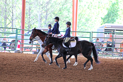 Picture from Catoosa County Saddle Club show