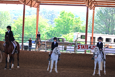 Picture from Catoosa County Saddle Club show