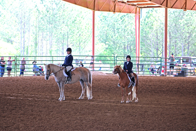 Picture from Catoosa County Saddle Club show