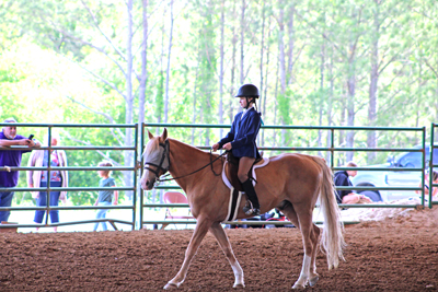 Picture from Catoosa County Saddle Club show