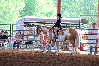 Picture from Catoosa County Saddle Club show