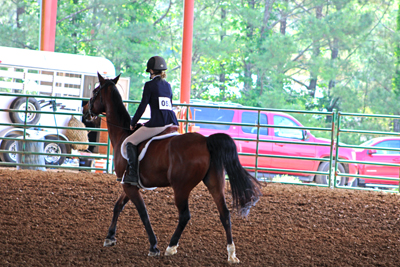 Picture from Catoosa County Saddle Club show