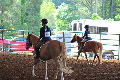 Picture from Catoosa County Saddle Club show