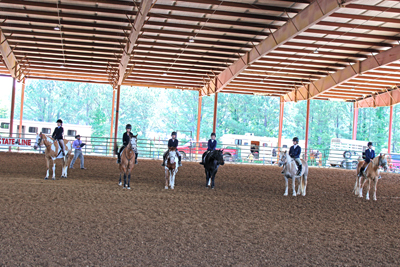 Picture from Catoosa County Saddle Club show