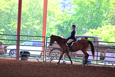 Picture from Catoosa County Saddle Club show