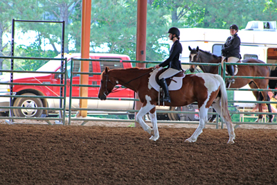 Picture from Catoosa County Saddle Club show