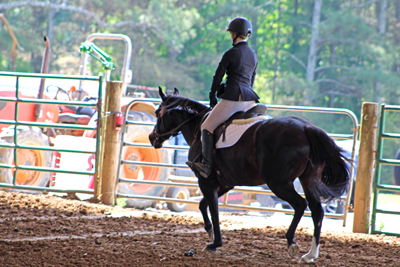 Picture from Catoosa County Saddle Club show