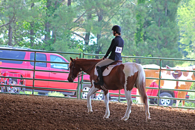 Picture from Catoosa County Saddle Club show