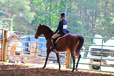 Picture from Catoosa County Saddle Club show