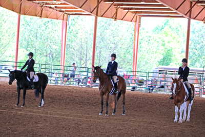 Picture from Catoosa County Saddle Club show